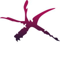 Comarca Central